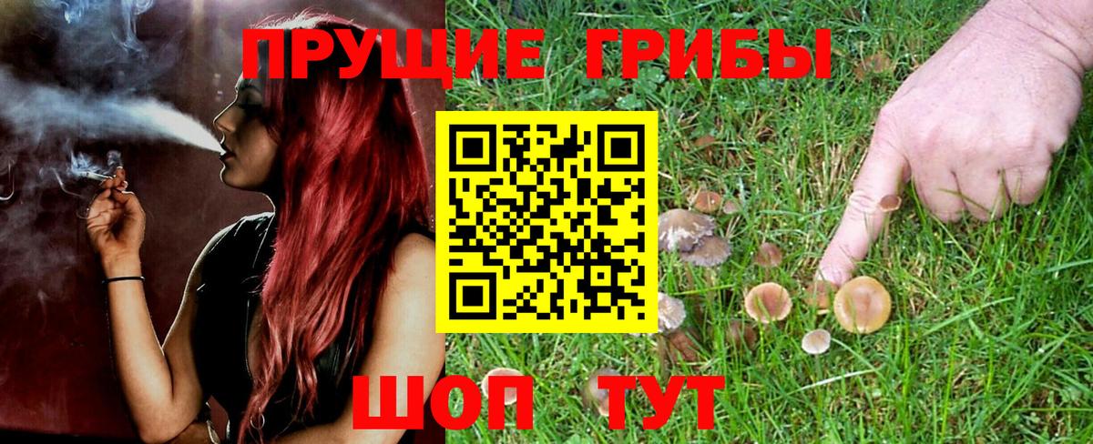 Псилоцибиновые грибы MAGIC MUSHROOMS Солнечногорск