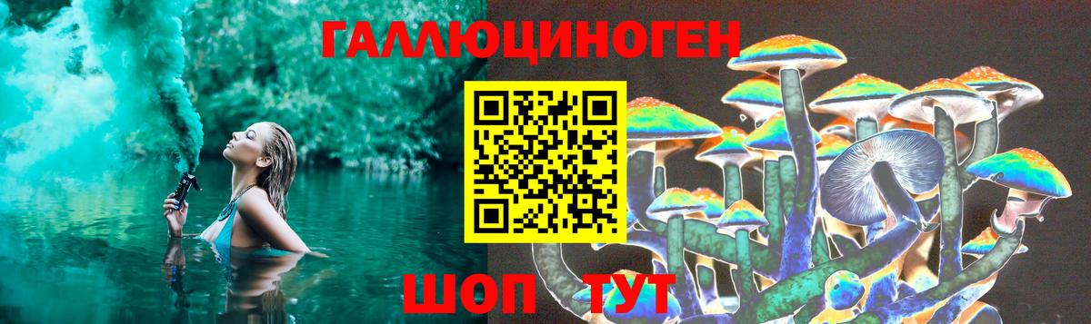 Галлюциногенные грибы GOLDEN TEACHER  Псилоцибиновые грибы Psilocybine cubensis  Вход с VPN  Солнечногорск 
